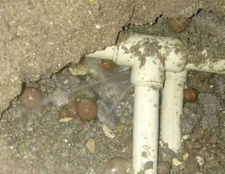 集美卫生间测漏