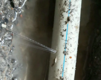 集美卫生间测漏水多少钱