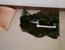 集美卫生间测漏水多少钱